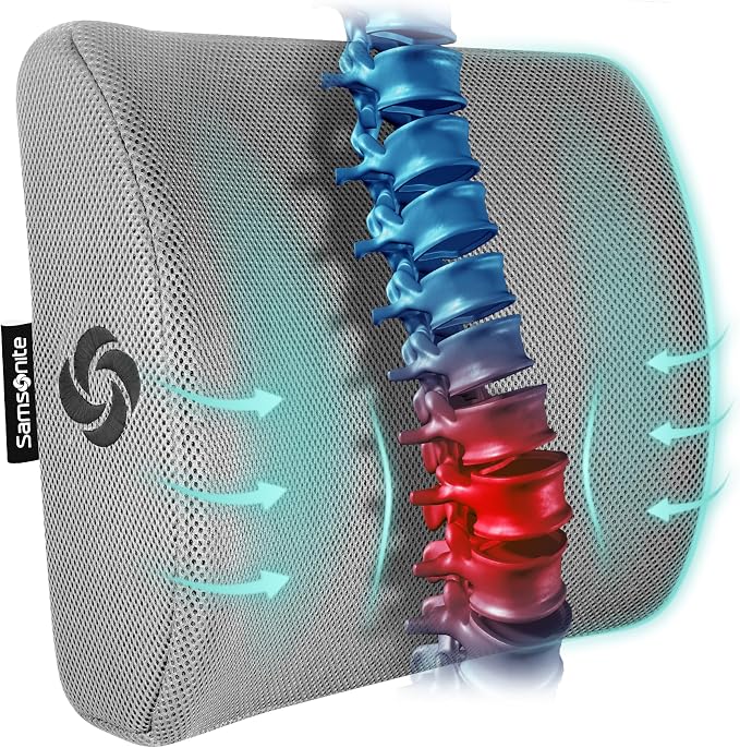 SAMSONITE Lumbar Support Pillow by Samsonite