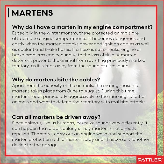 PATTLER® Marten Repellent for Car Engines - Image 9