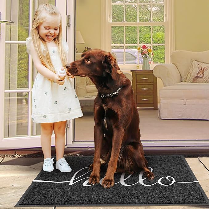 EARTHALL Door Mat Outside Inside Hello Doormat, Durable Floor Mat Non Slip Mat - Image 6